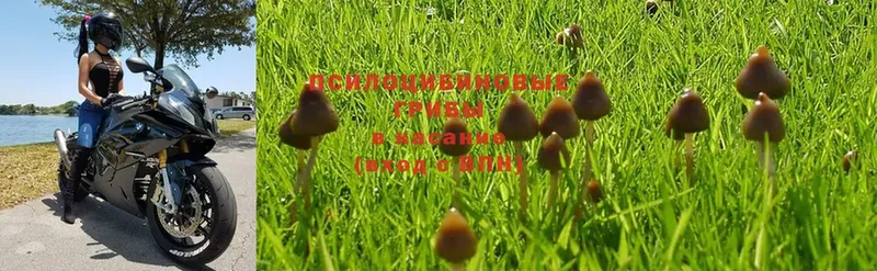 наркошоп  Агидель  МЕГА ССЫЛКА  Галлюциногенные грибы Magic Shrooms 